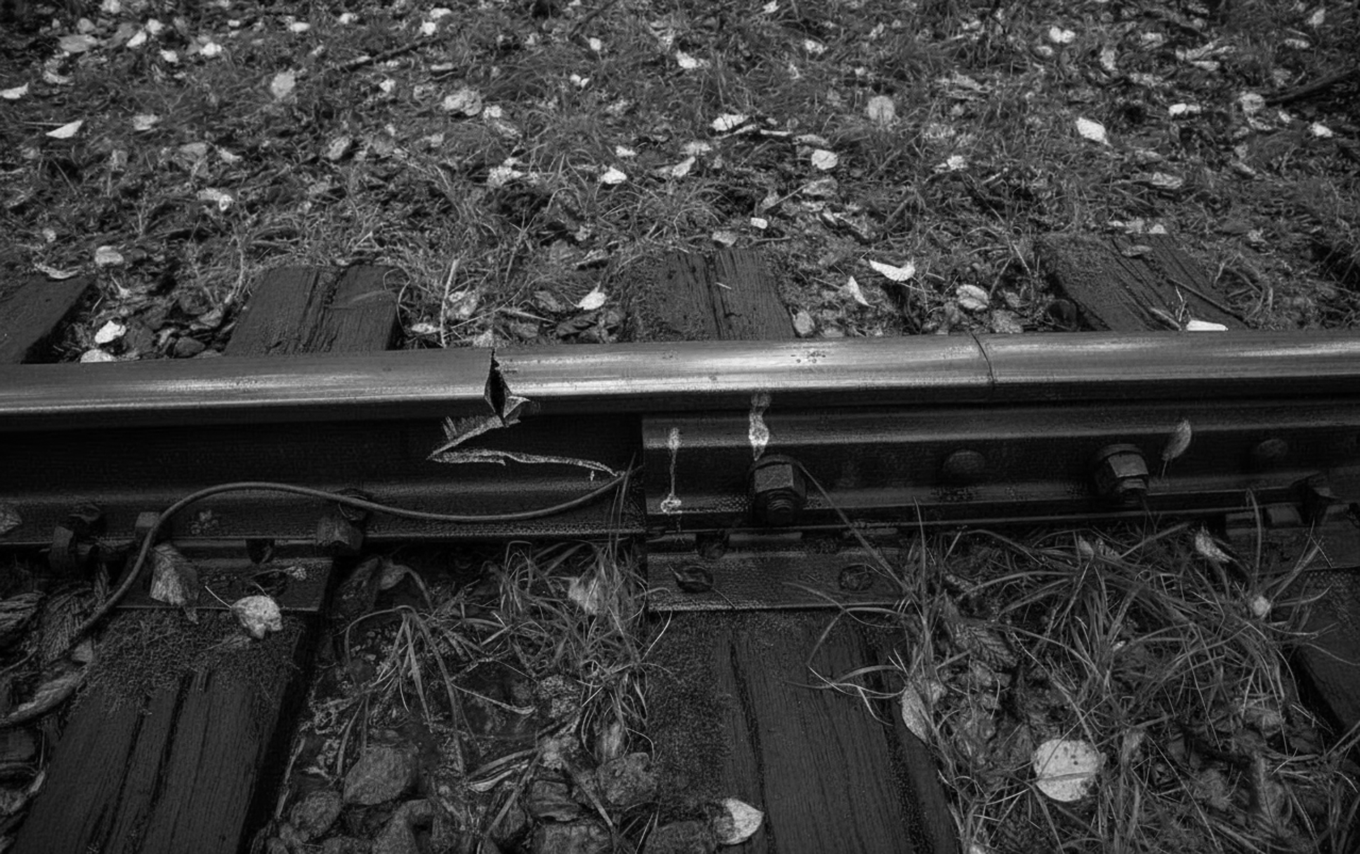 img-018