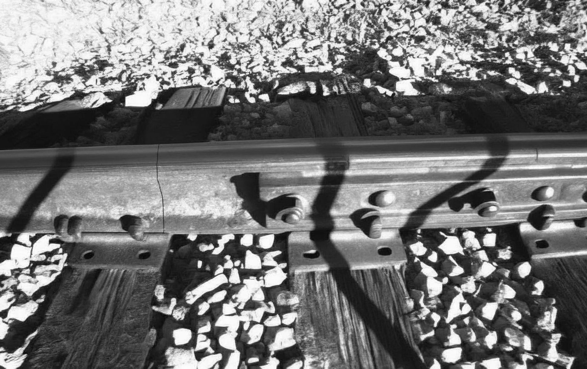 img-019